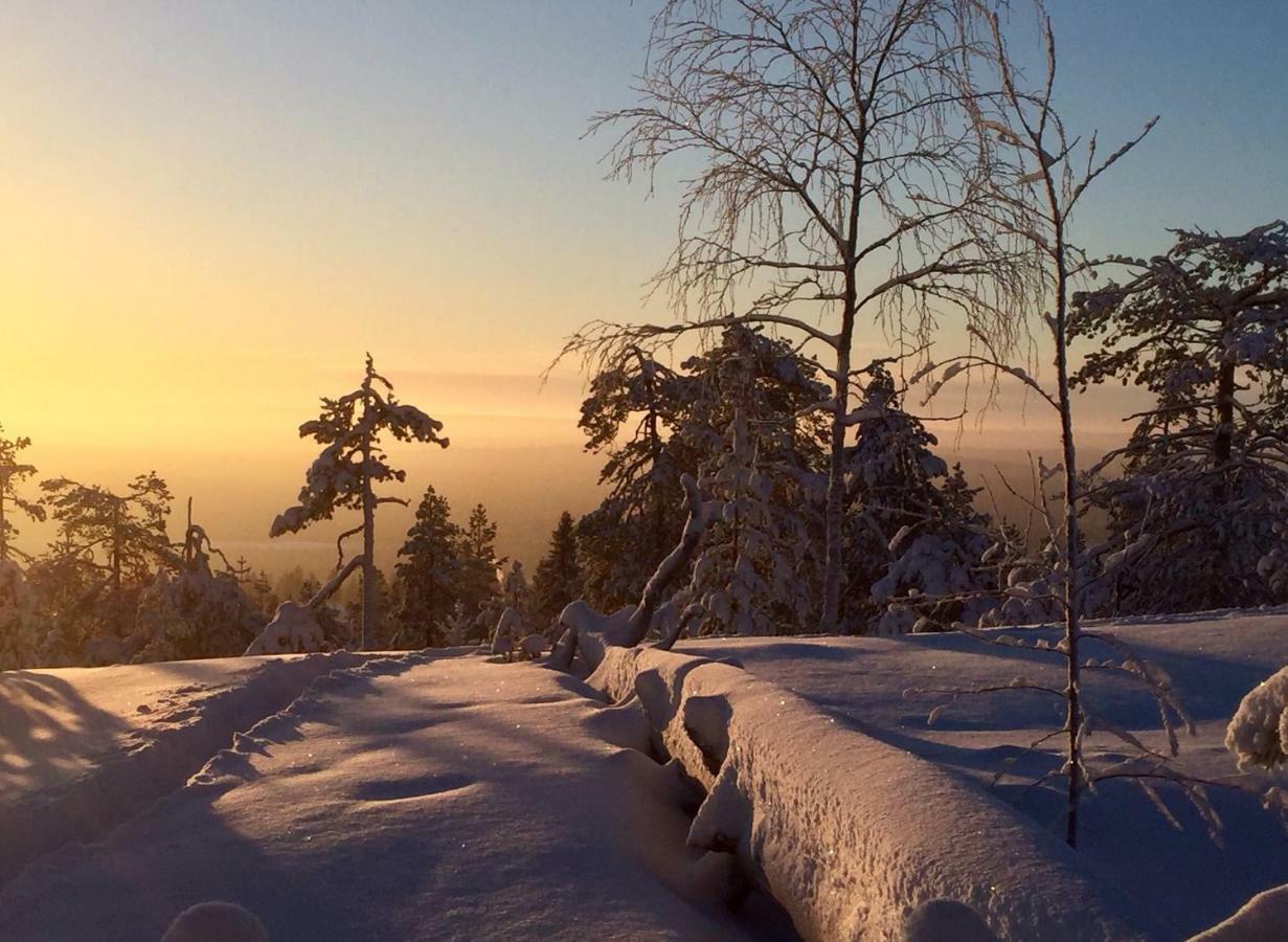 Villa Happy Fox Rovaniemi Dış mekan fotoğraf