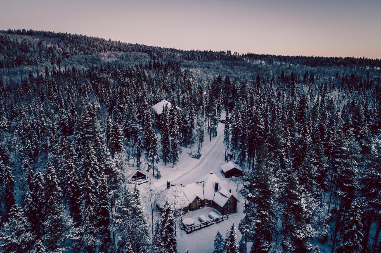 Villa Happy Fox Rovaniemi Dış mekan fotoğraf